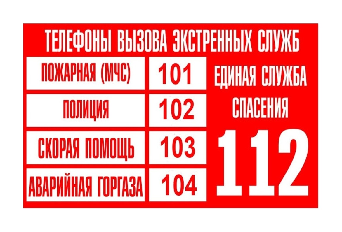 Телефоны экстренных служб в случае возникновения чрезвычайных ситуаций.