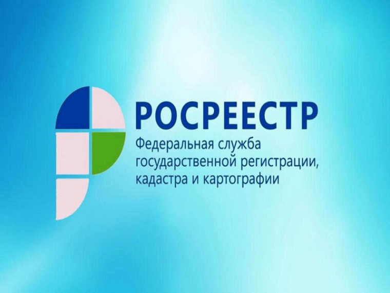 Выявлен факт самовольного занятия земель лесного фонда.